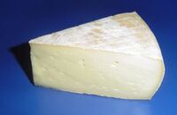 Saintnectaire