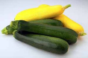 SummerSquash