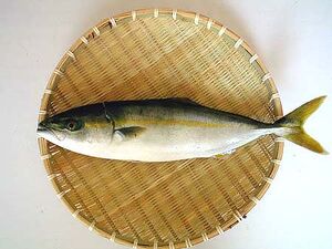 Hamachi