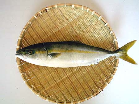 File:Hamachi.jpg