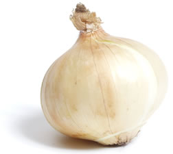 Yellow Onion