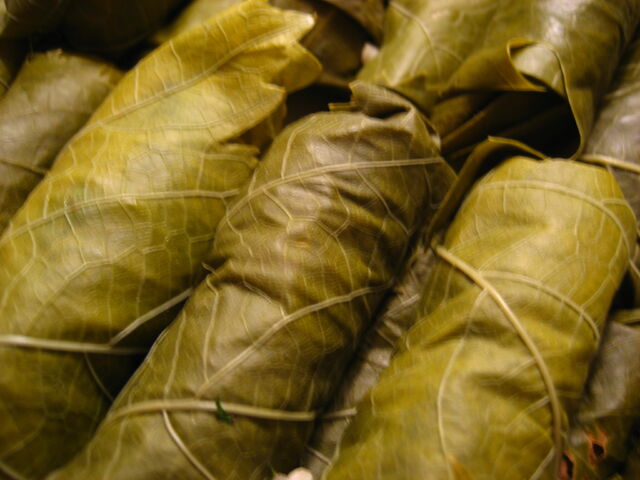 File:Stuffed+grape+leaves-3823.jpg