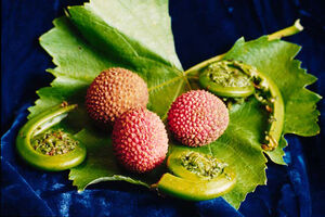 LycheeNuts