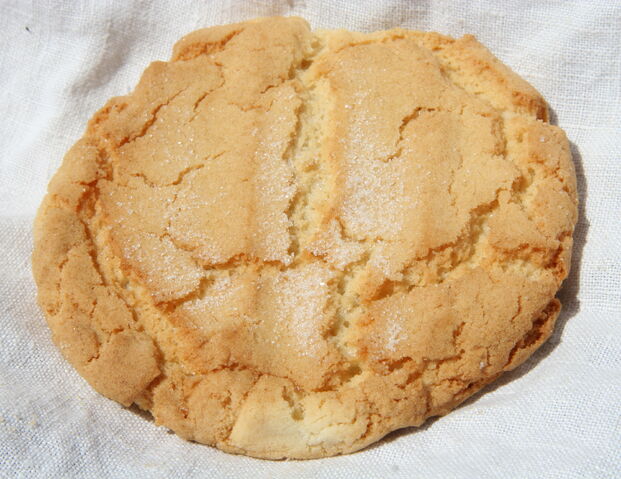 File:Sugar cookie.jpg