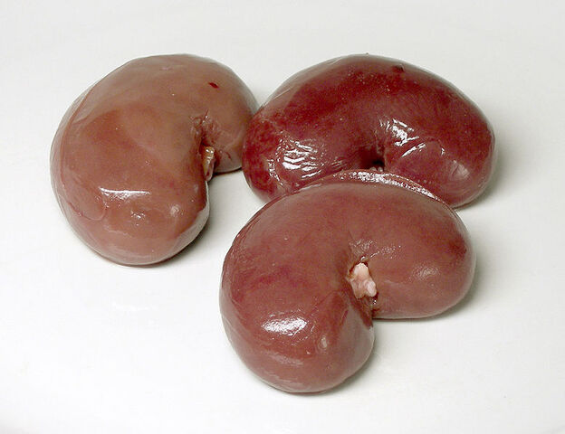 File:Kidneys.jpg
