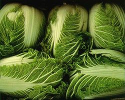 File:Ncabbage.jpg