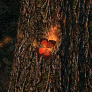 Firemoth