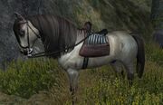 Caspian