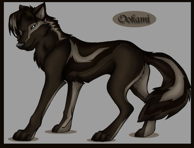 File:Black wolf.jpg