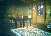 Silent stead2.jpg