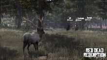 Red-dead-redemption-20100414021609742