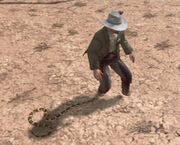Rattlesnake-nipping-at-heels.jpg