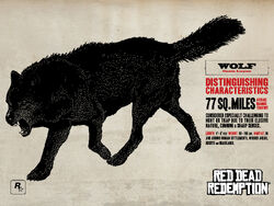 Wolf11