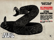 Rattlesnake1.jpg