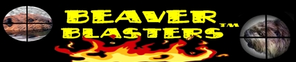BEAVERBLASTERS LOGO