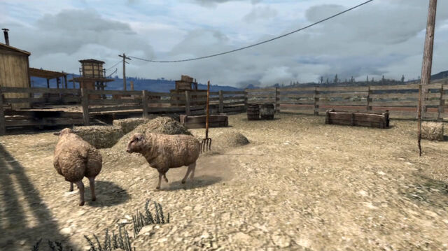 File:Rdr sheep.jpg