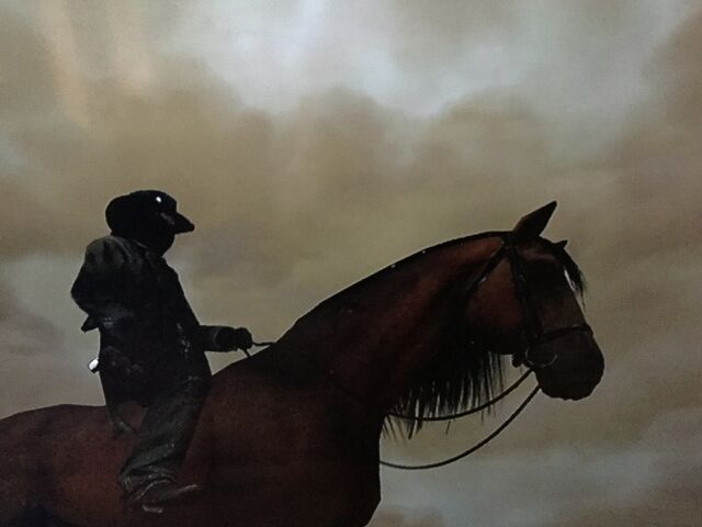 File:Horsebreak.jpg
