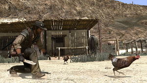 Wildlife.chickens.jpg