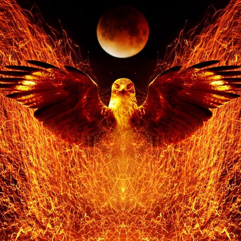 File:Phoenix.2.jpg