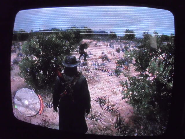 File:Mysterious Mexican Pic.jpg