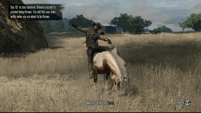 File:StandardbredPintoWild.png