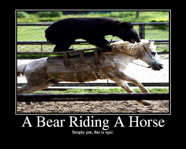 File:BEAR.png