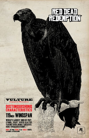 File:Vulture-art.jpg