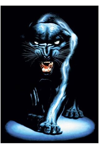 File:Black-panther-1-.jpg