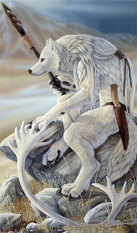 File:White-Werewolf-bitefight-werewolves-9209751-498-842.jpg