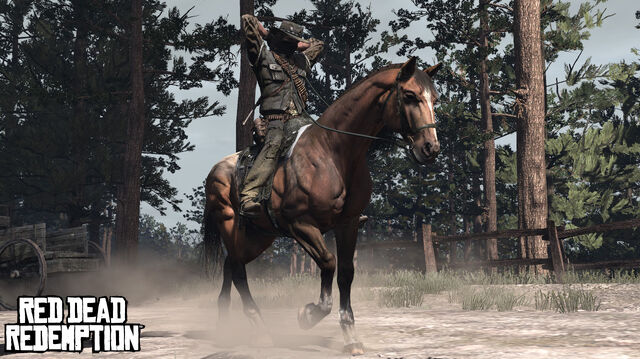 File:Rdr bandana 01.jpg