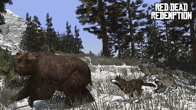 File:Rdr wolf bear.jpg