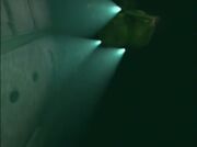 Diving Bell Cassandra (3)