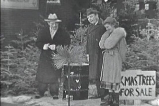 File:1951-12-15 Selling x-mass trees.jpg