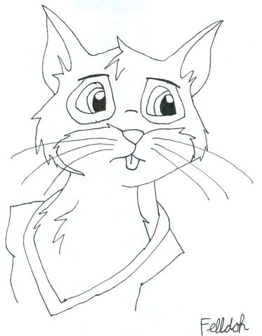 File:Felldoh by Ferretmaiden.jpg