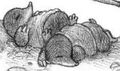 Thumbnail for version as of 14:13, June 17, 2014