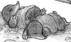 File:Guffy & Gurchen.JPG