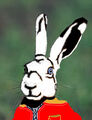 ElipAV
