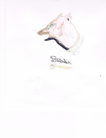 File:Bullskin pic.jpg