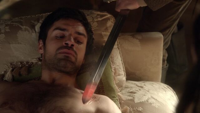 File:Normal Reign211-2081.jpeg
