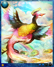 Rainbow Bird1