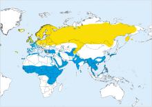 Common snipe gallinago gallinago distribution map.jpg