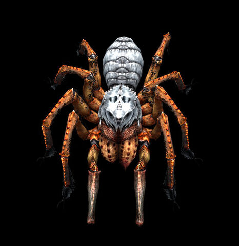 File:Skulltula.jpg