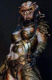 Predator