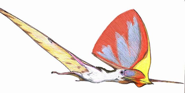 File:Tupandactylus imperator.jpg