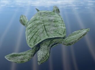Archelon Restoration