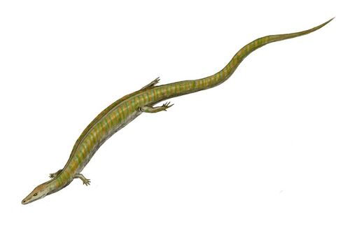 Kaganaias