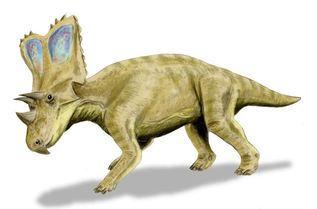 File:Chasmosaurus.jpg