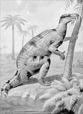 File:435px-Iguanodon feeding.jpg