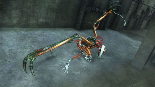 File:Anubis.jpg