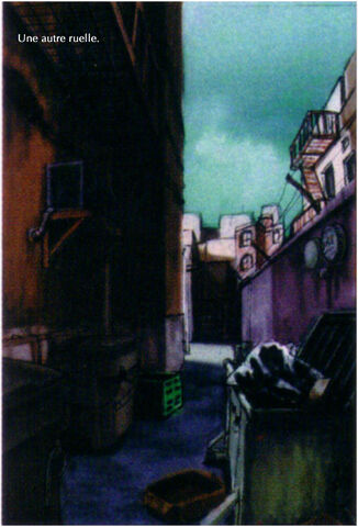 File:Raccoon 19.jpg